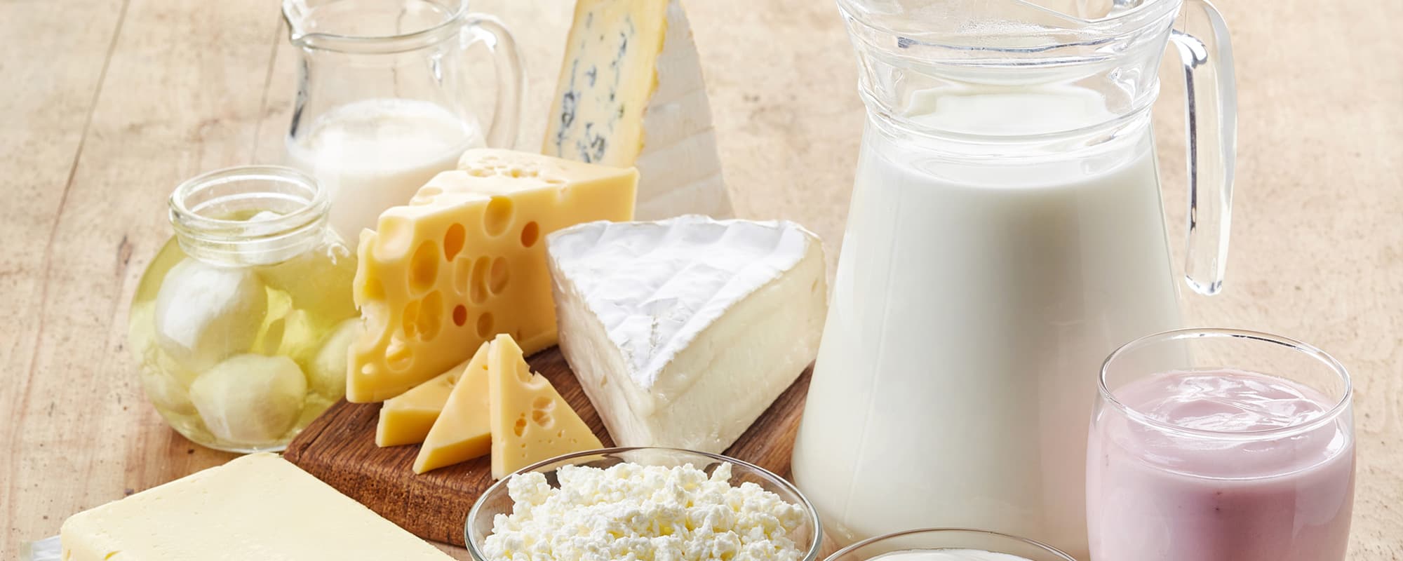 Bulk Cheese Products, Foodservice Supplier