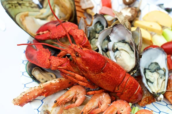 Wholesale Seafood Distributor in Oswego and Central NY